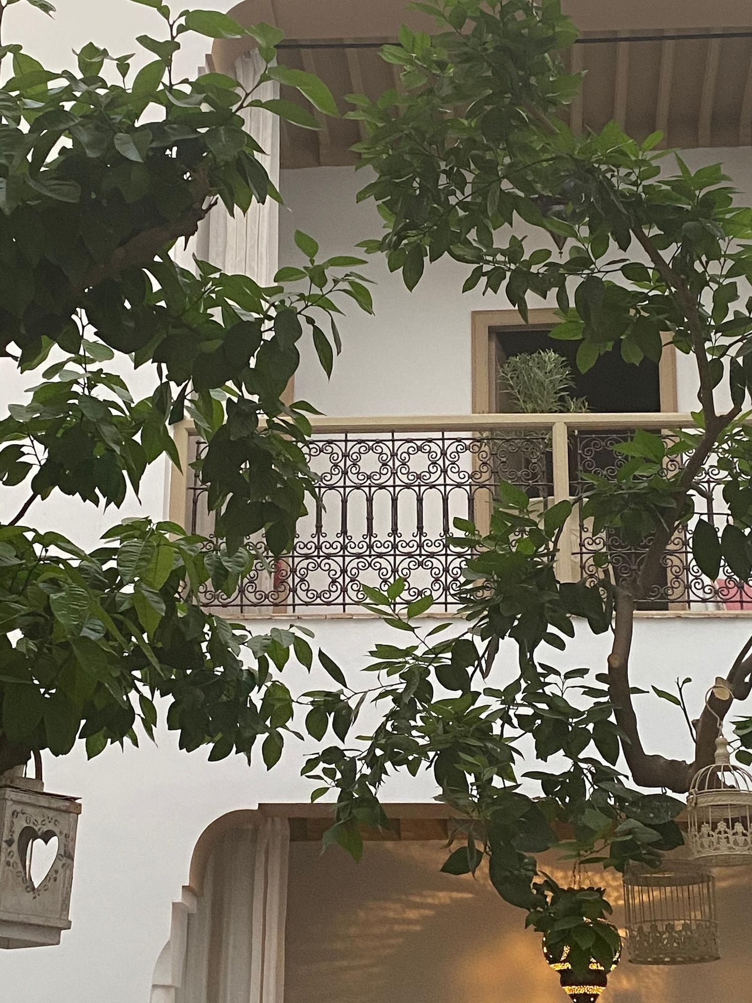 מרקש Riad Les Orangers D'Alilia מראה חיצוני תמונה