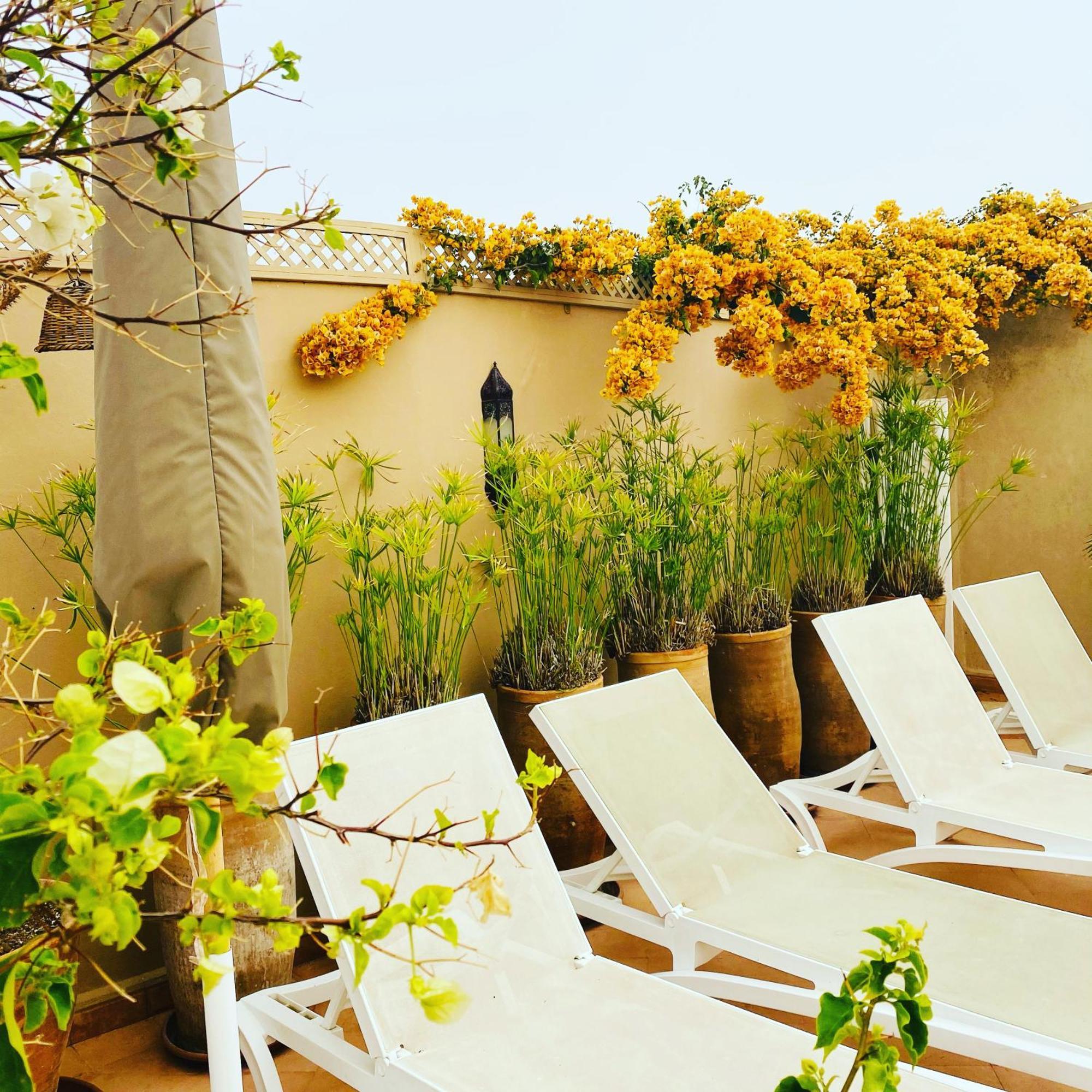 מרקש Riad Les Orangers D'Alilia מראה חיצוני תמונה