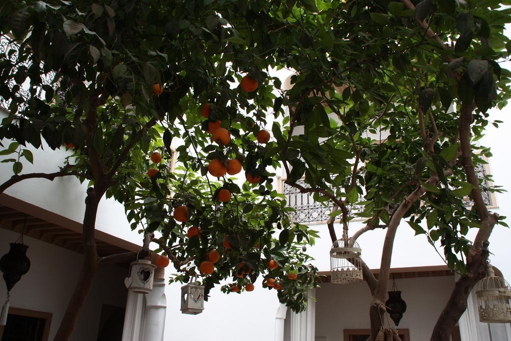 מרקש Riad Les Orangers D'Alilia מראה חיצוני תמונה